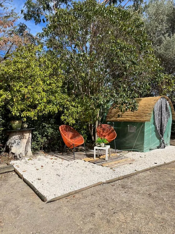 Le Bonheur Avec Piscine Et Jardin Villa Cassis 0*,  France